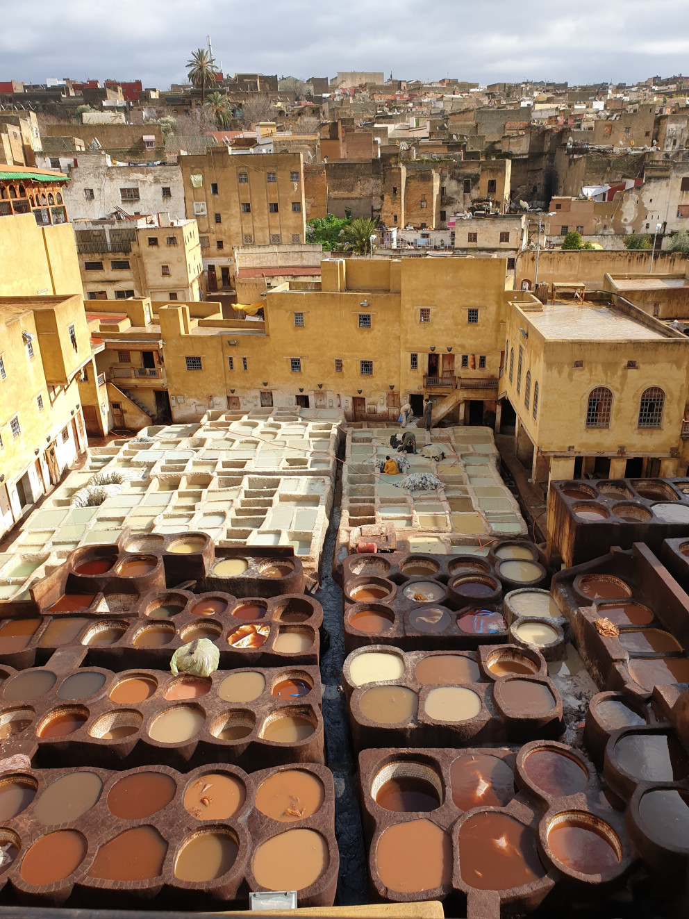 모로코 페스 가죽단지 리뷰 이미지