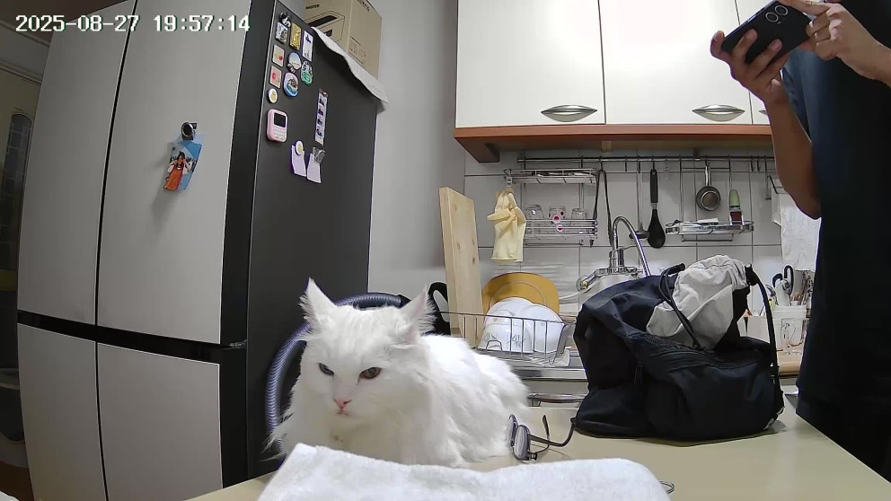 헤이홈 스마트 홈카메라 Pro 실내용 리뷰 이미지