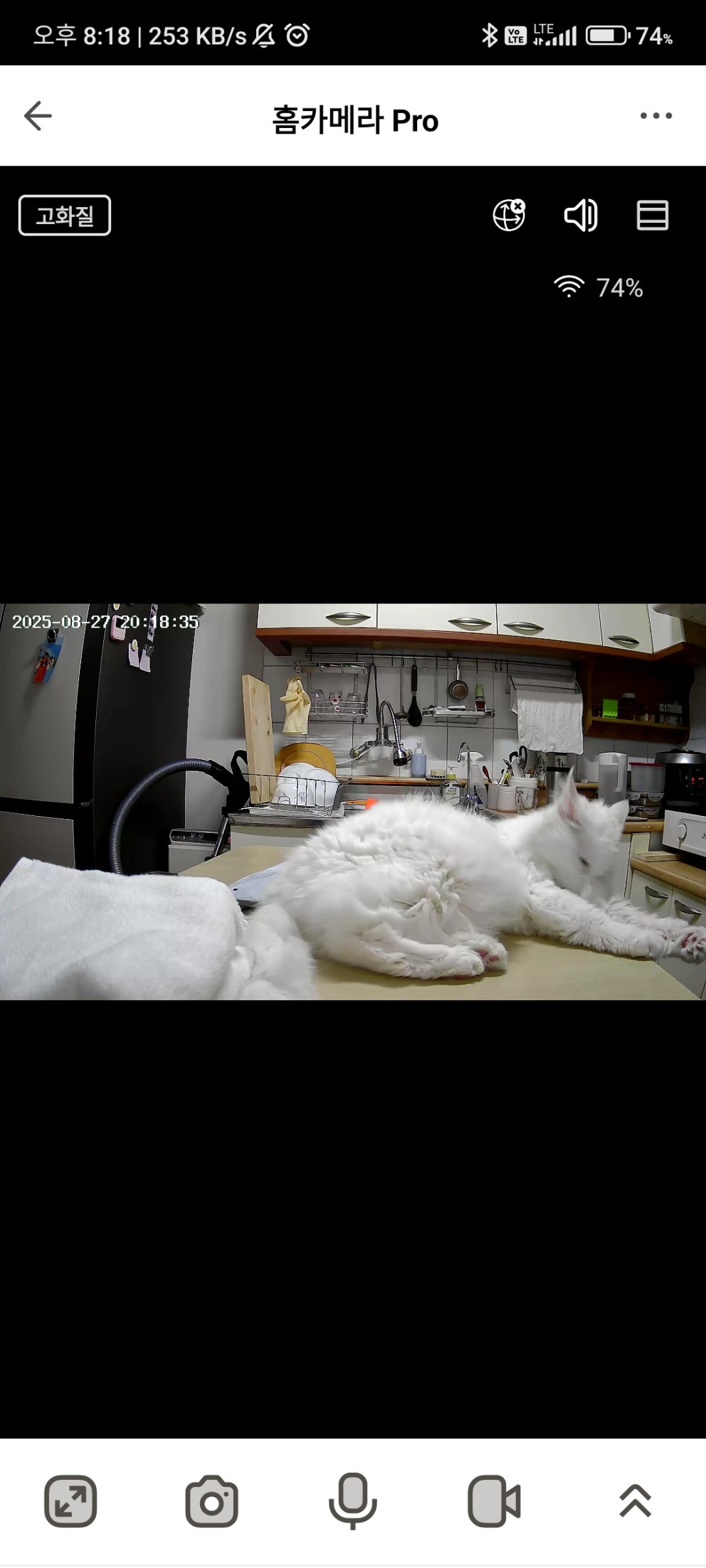 헤이홈 스마트 홈카메라 Pro 실내용 리뷰 이미지