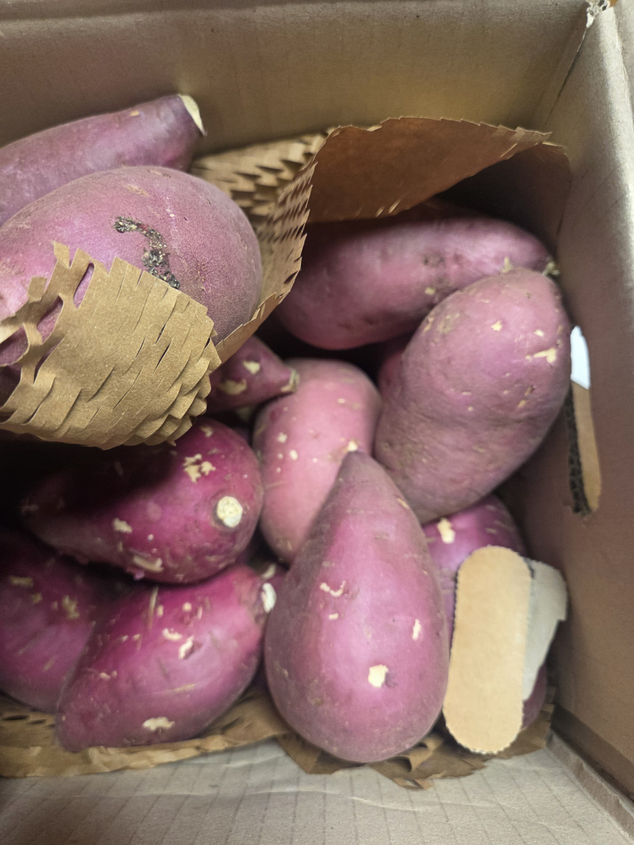 스윗하구마 특상 고구마 리뷰 이미지