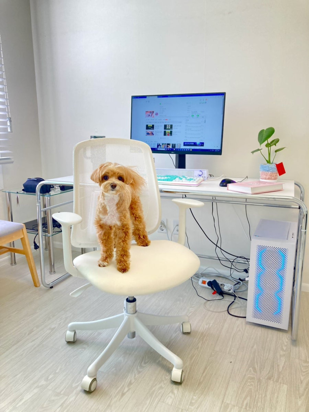 바이타 라빈스 의자 리뷰 이미지