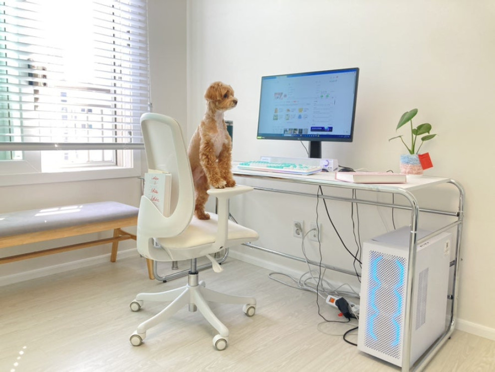 바이타 라빈스 의자 리뷰 이미지