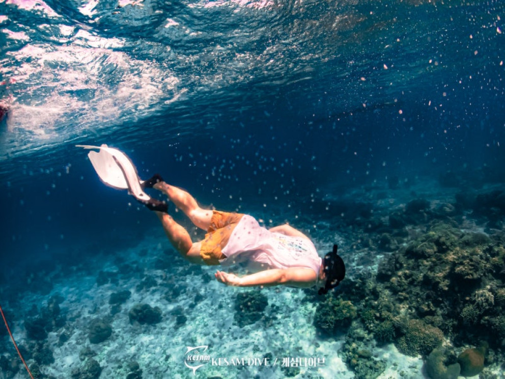 보홀 호핑투어 리뷰 이미지