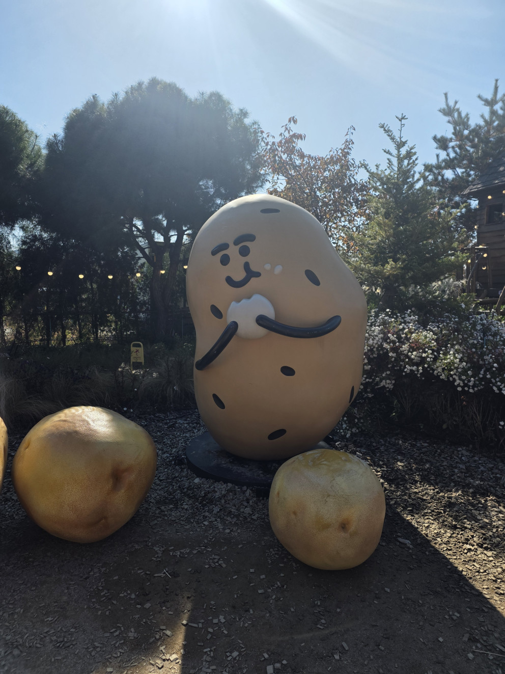 카페감자밭 본점 리뷰 이미지