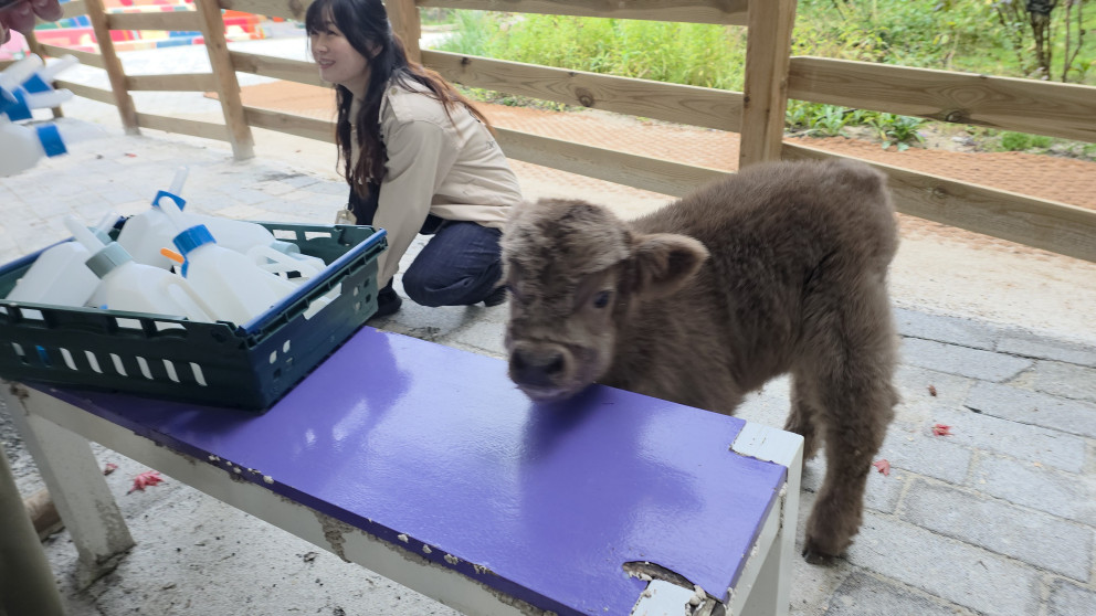 마이애니멀스토리in평강랜드 리뷰 이미지