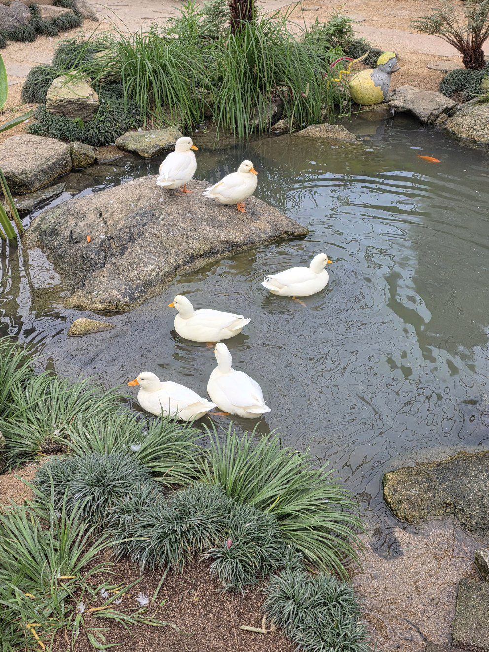 마이애니멀스토리in평강랜드 리뷰 이미지