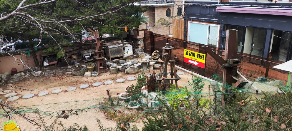 고양이정원 리뷰 썸네일 이미지