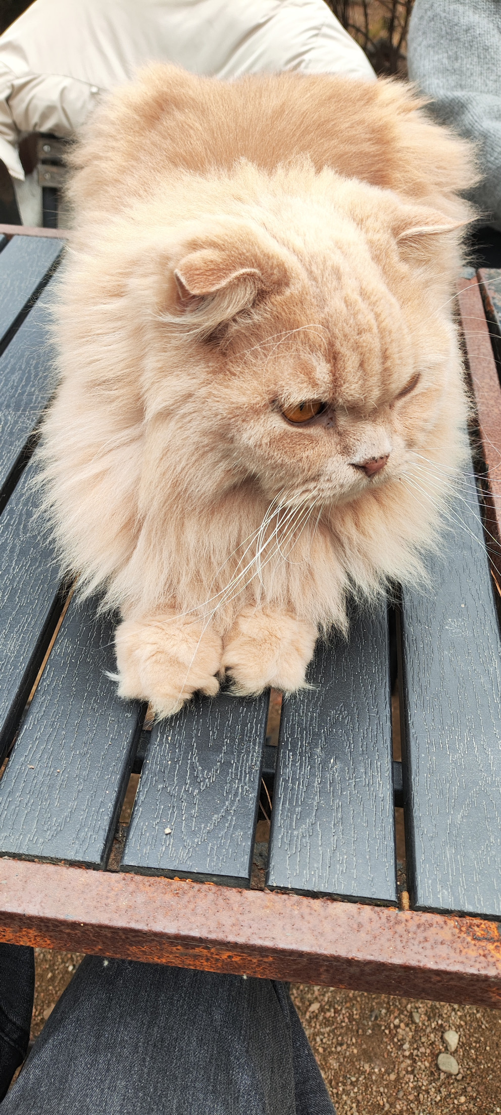 고양이정원 리뷰 이미지