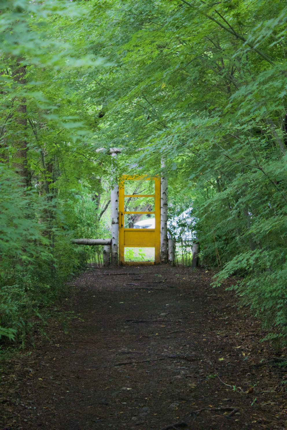 달빛새베이커리앤카페 리뷰 이미지