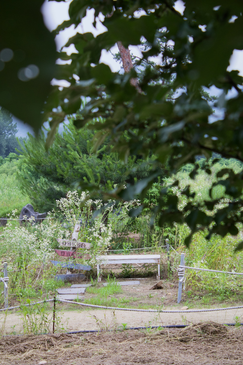 달빛새베이커리앤카페 리뷰 이미지