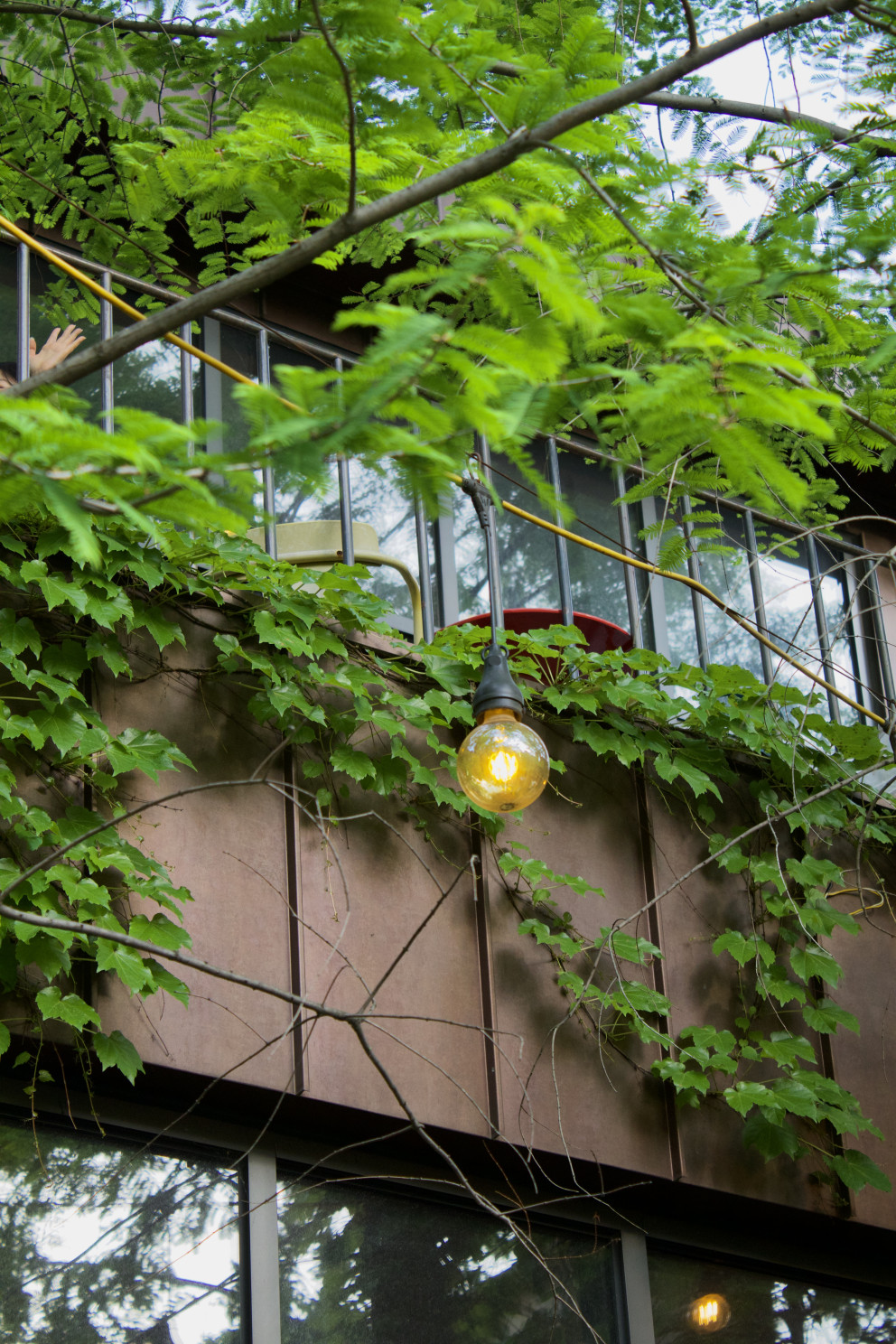 알베르 리뷰 이미지