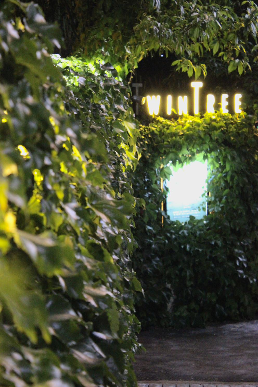 트윈트리 리뷰 이미지