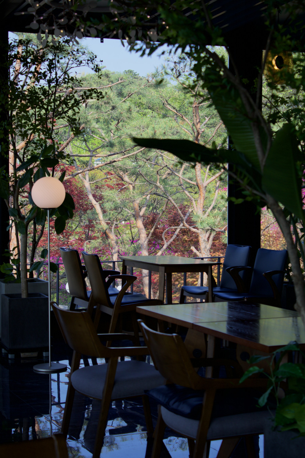 파인힐커피하우스 리뷰 이미지