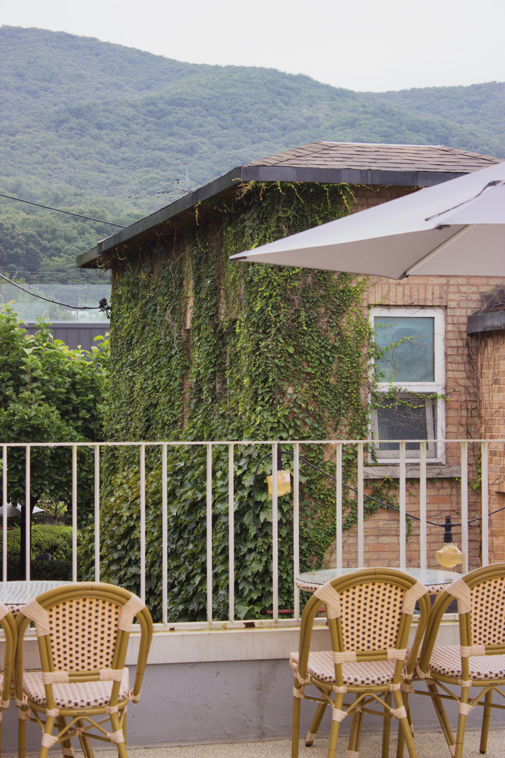 뒤란 리뷰 이미지