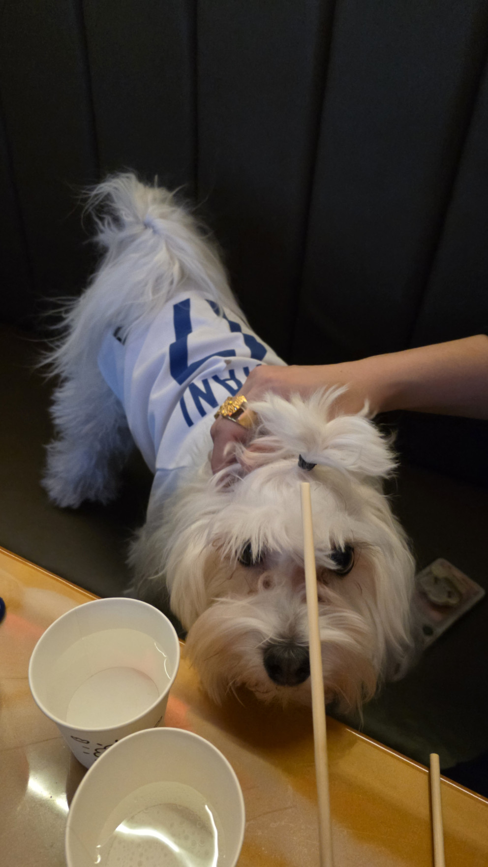 레츠펍 발산마곡본점 리뷰 이미지