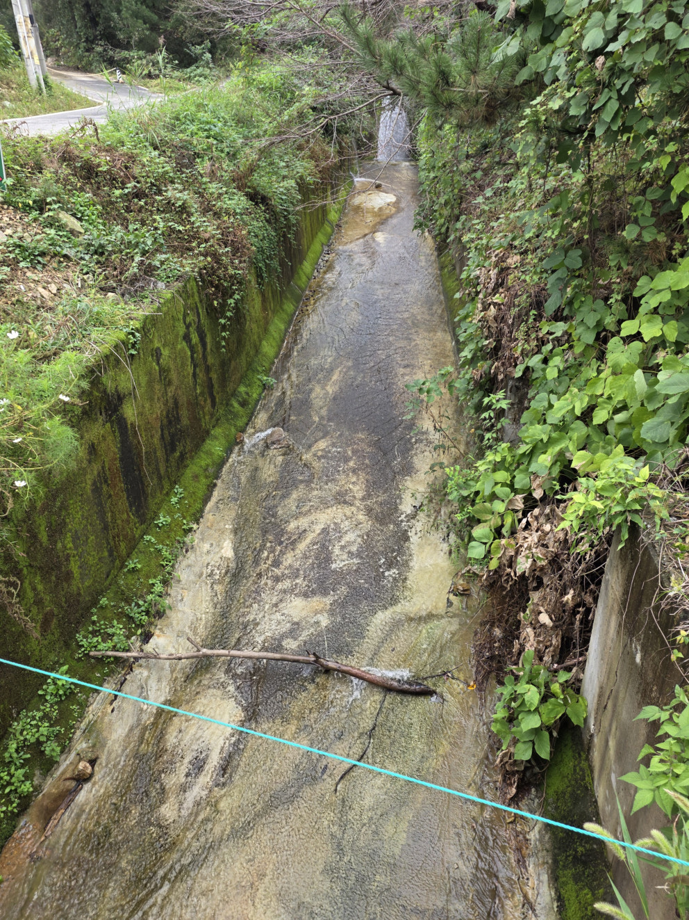 산우물캠핑장 리뷰 이미지