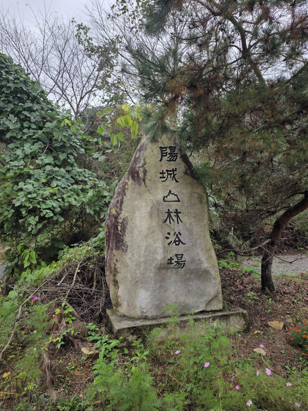 산우물캠핑장 리뷰 이미지