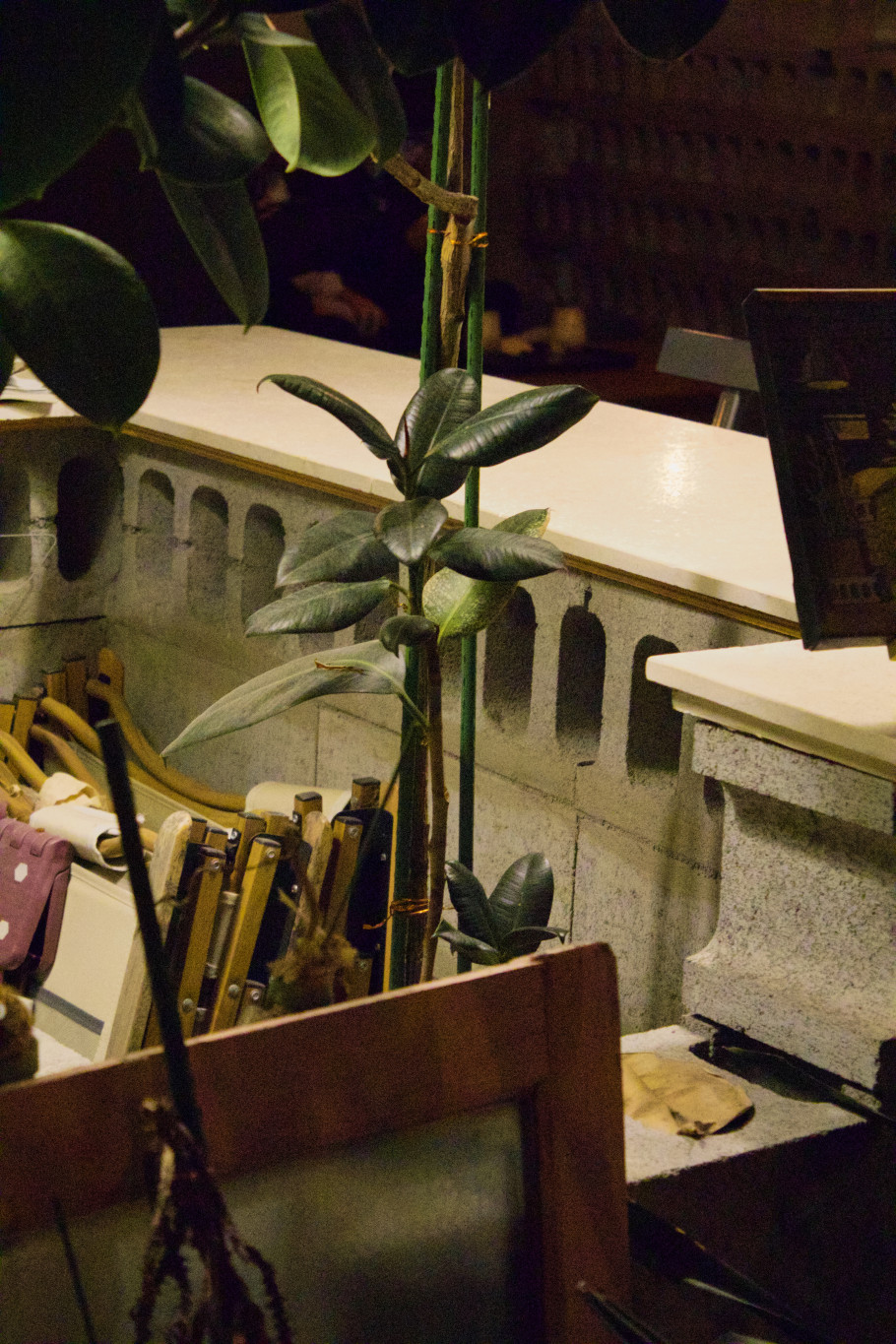 플랜트202 리뷰 이미지