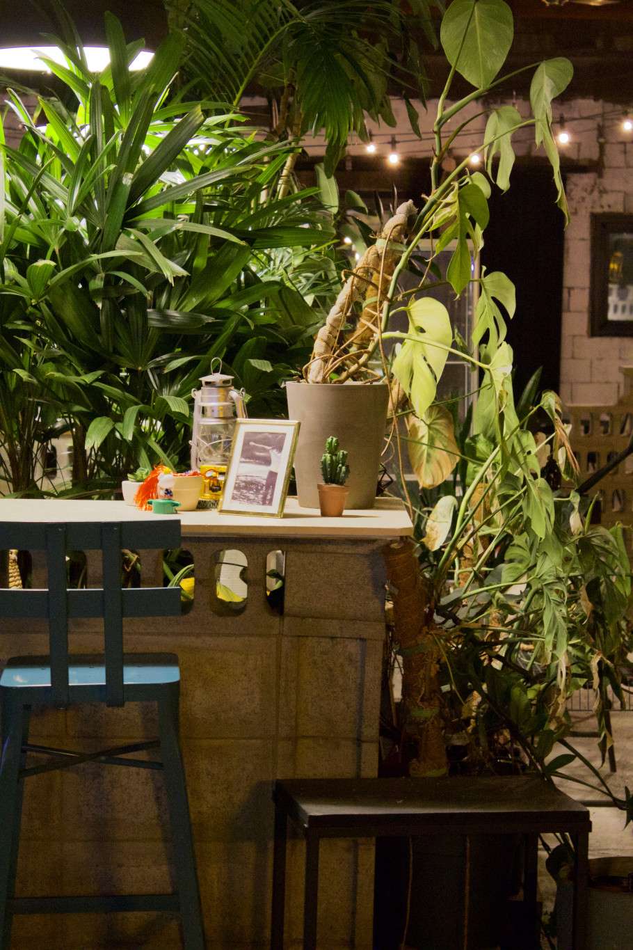 플랜트202 리뷰 이미지