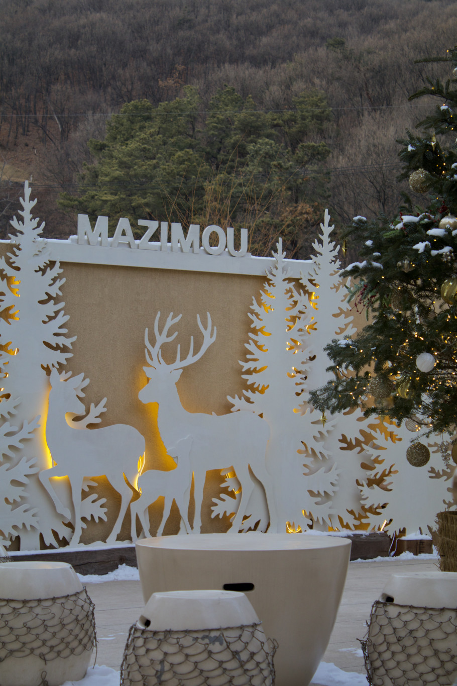 마지모우 리뷰 이미지