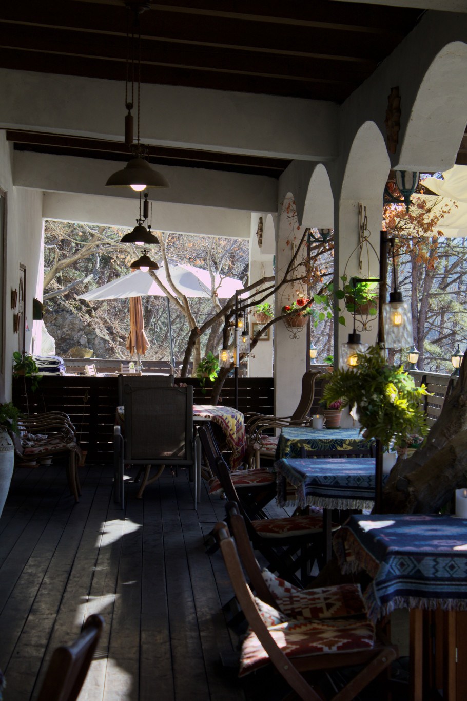 릴리 리뷰 이미지