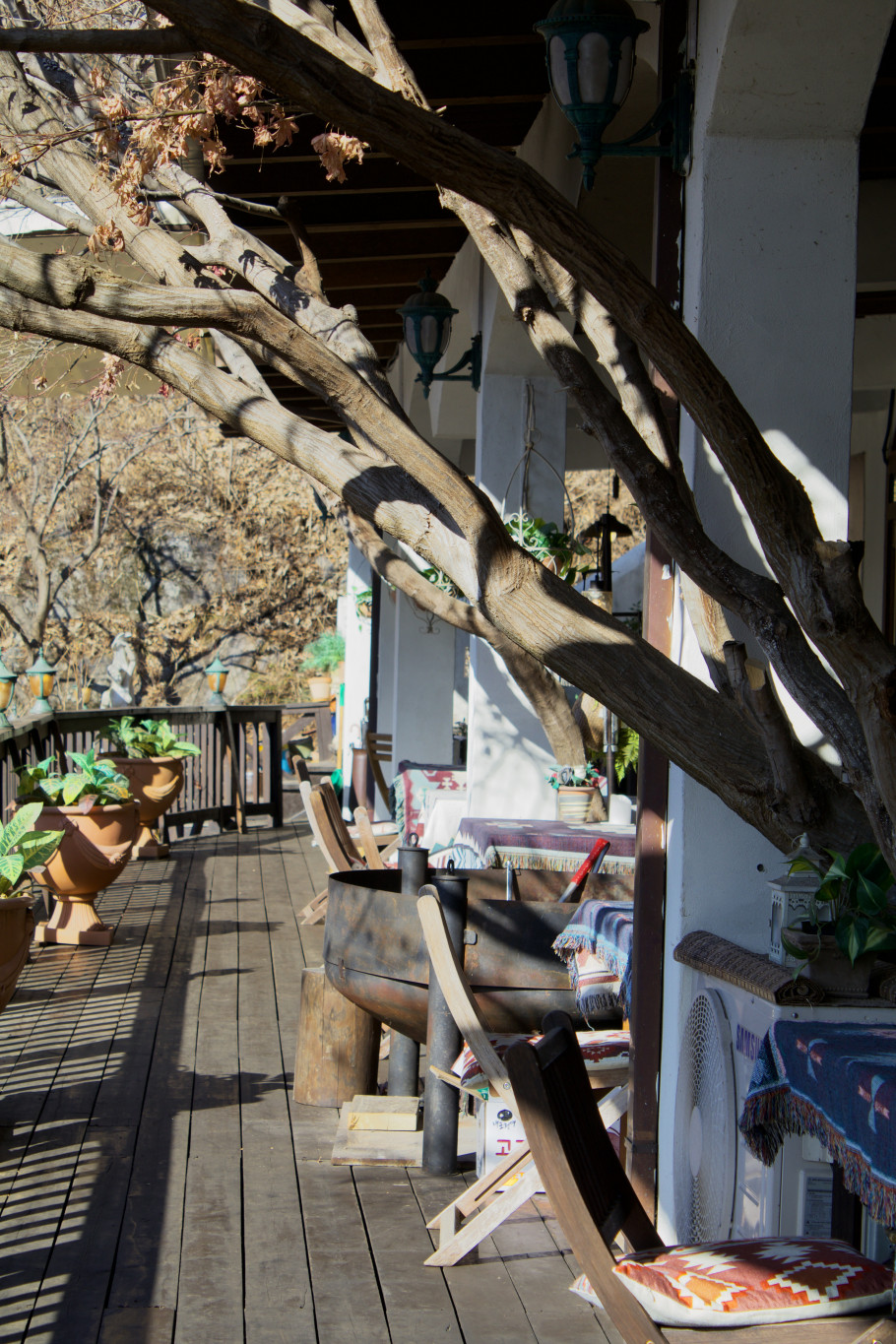 릴리 리뷰 이미지