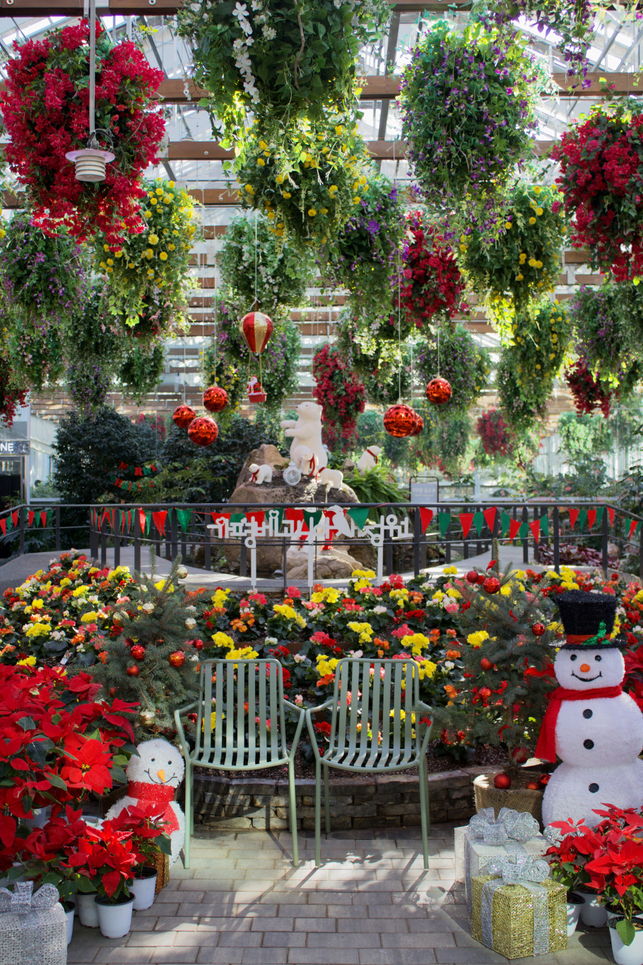 가평베고니아새정원 리뷰 이미지