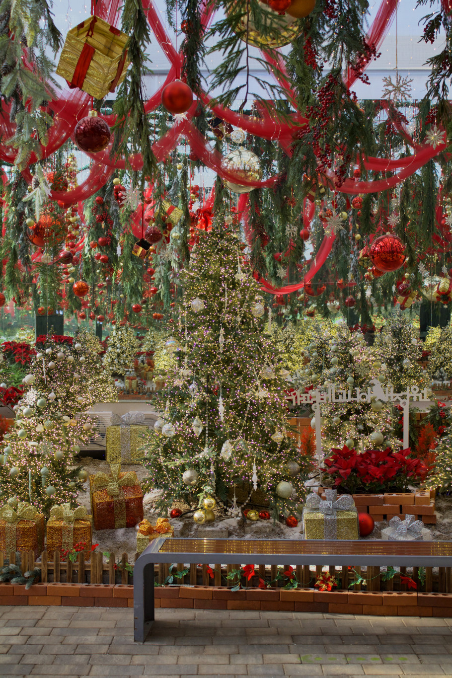 가평베고니아새정원 리뷰 이미지