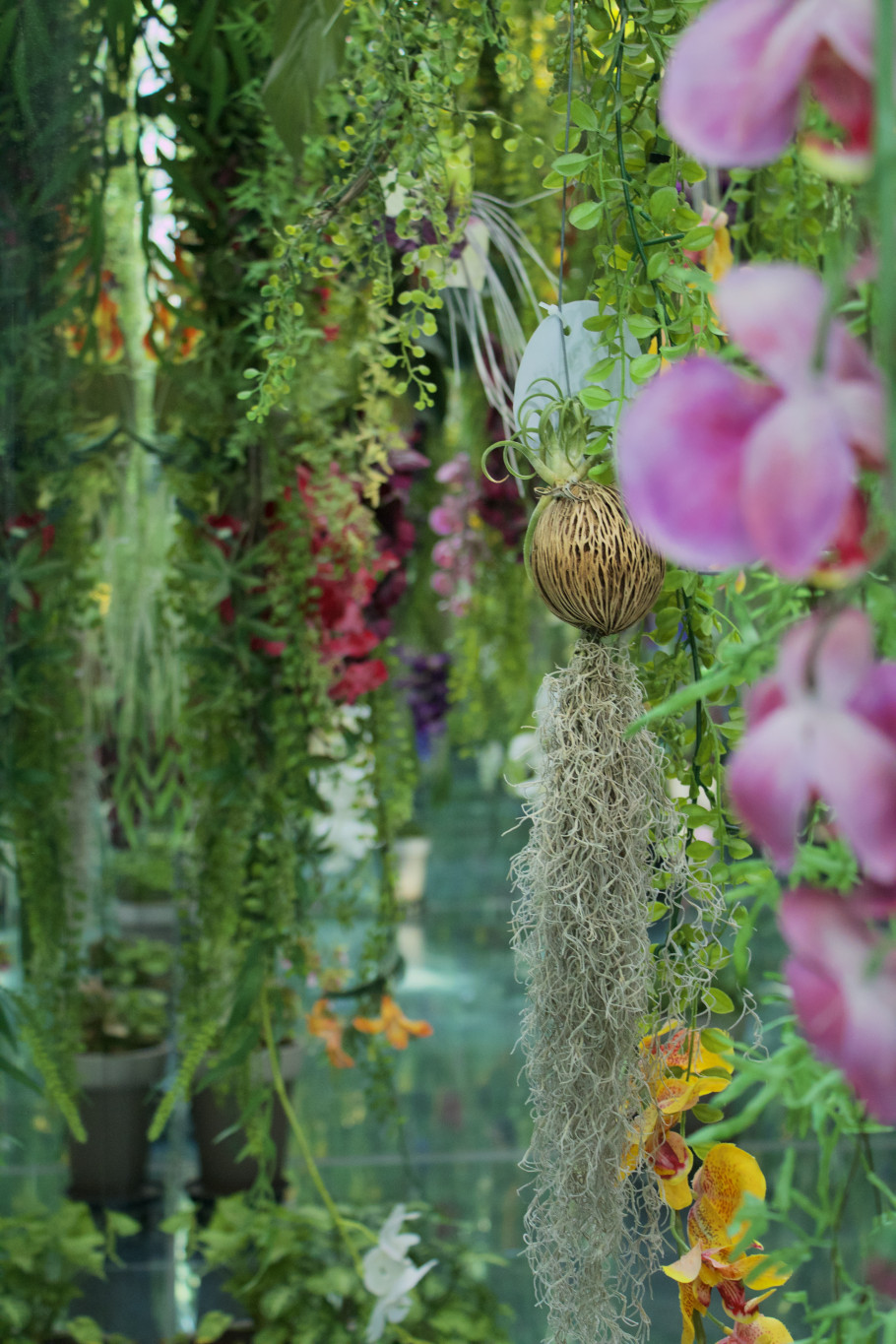 가평베고니아새정원 리뷰 이미지