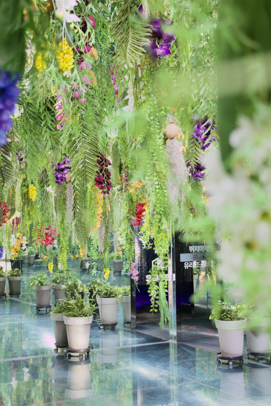 가평베고니아새정원 리뷰 이미지