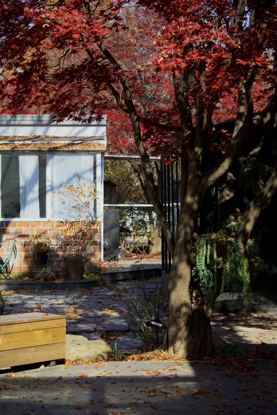 카페헤세in헤세의정원 리뷰 이미지