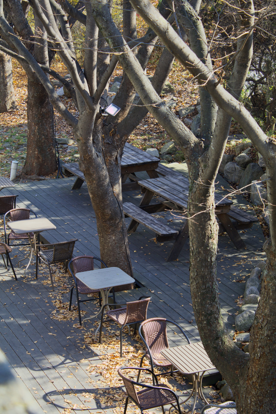 카페헤세in헤세의정원 리뷰 이미지