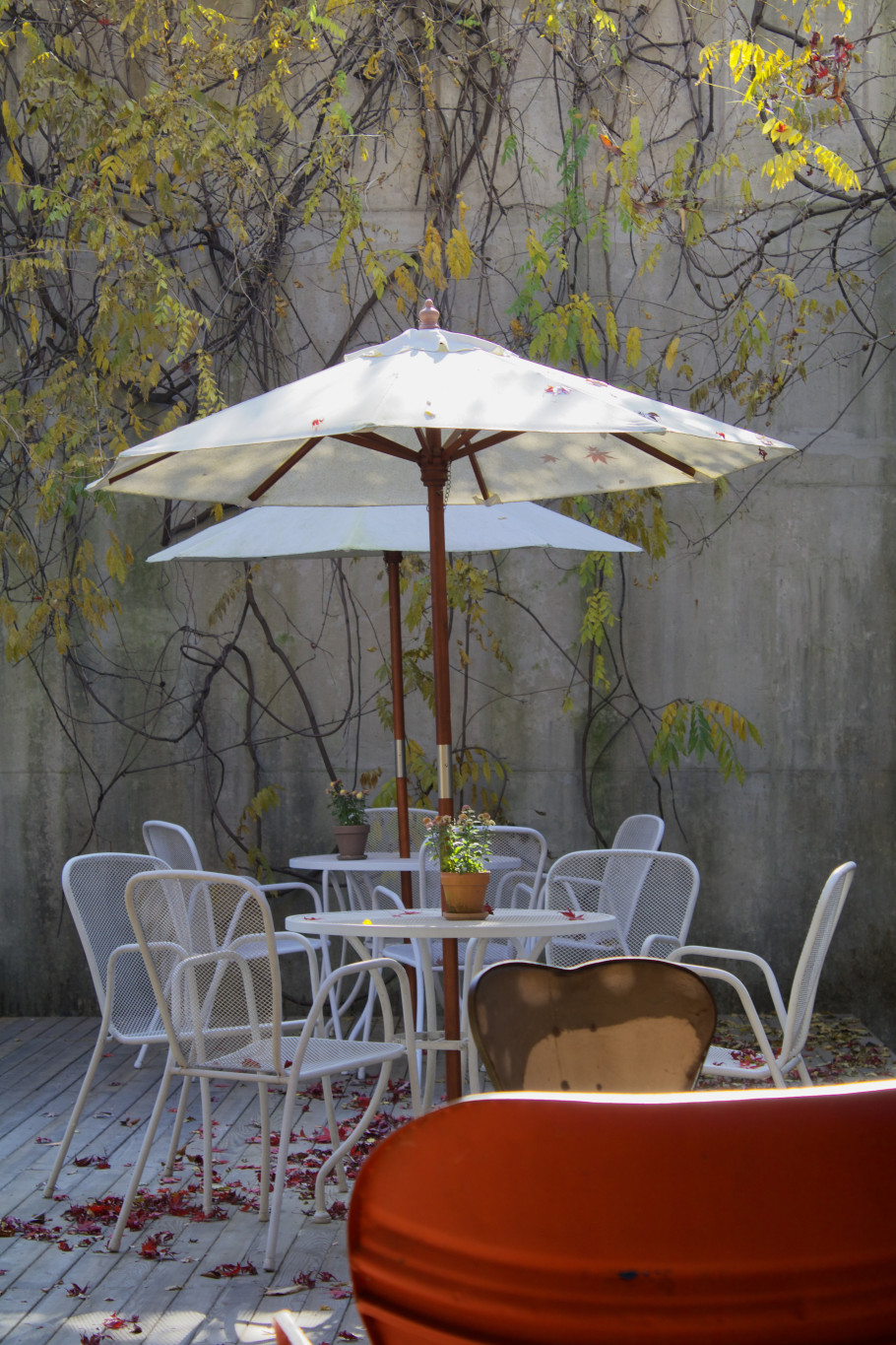 카페헤세in헤세의정원 리뷰 이미지