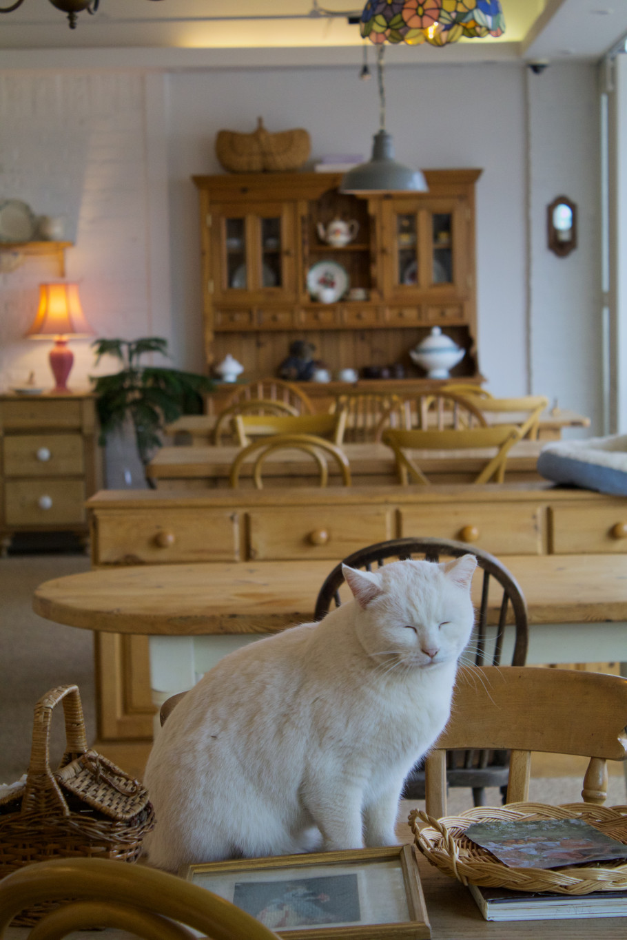 크리미에 리뷰 이미지