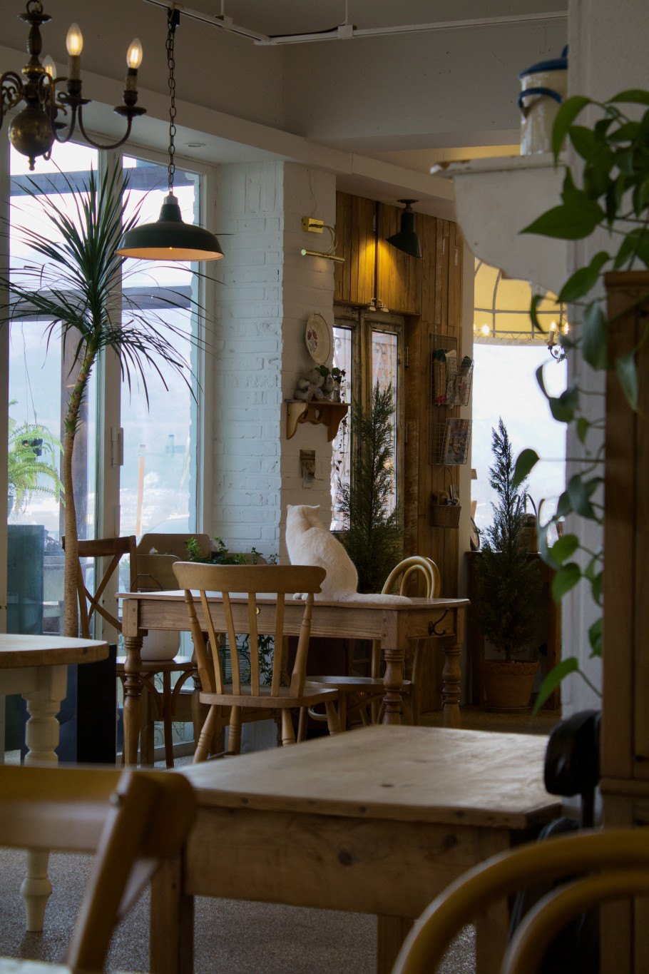 크리미에 리뷰 이미지