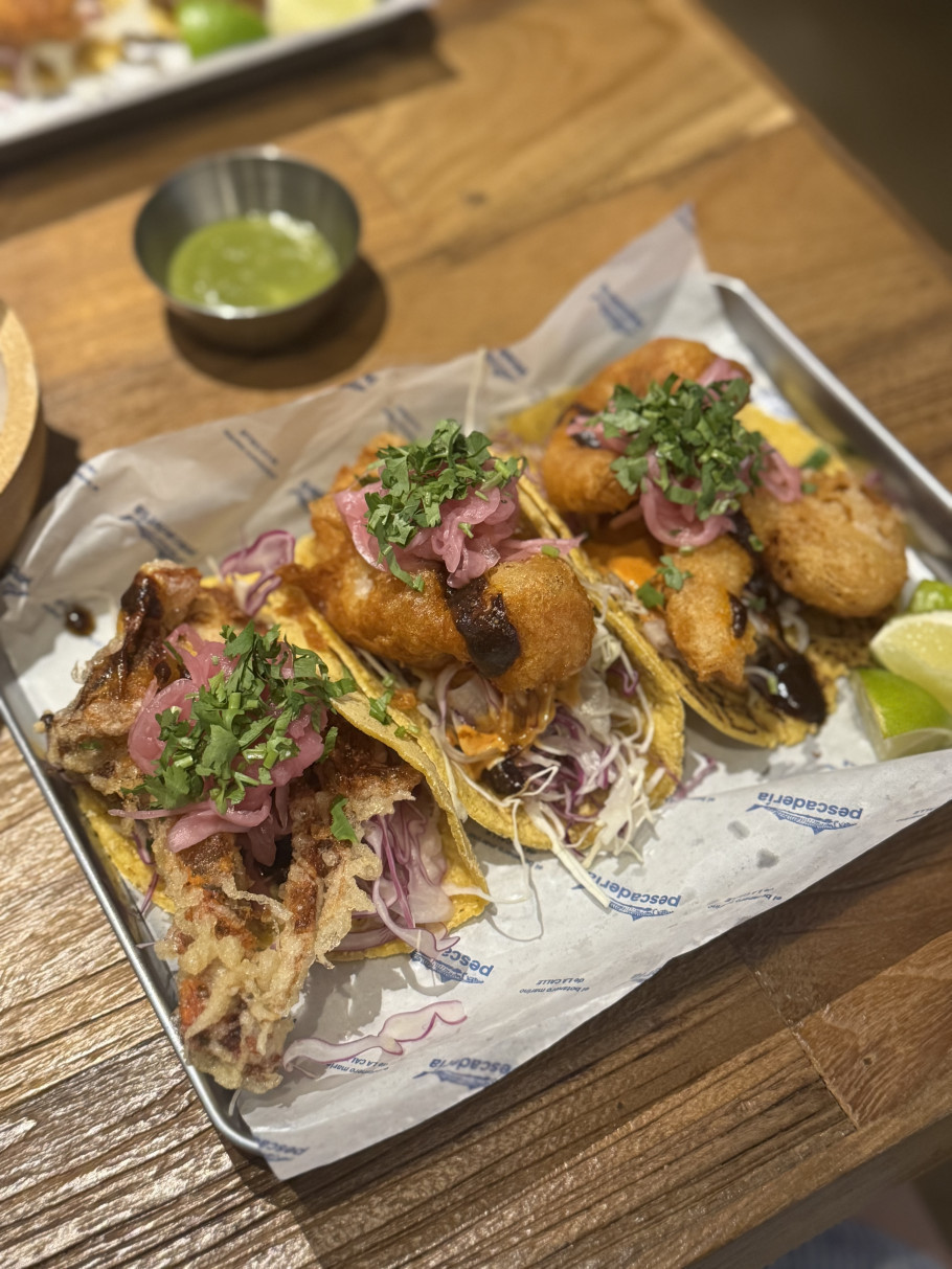 페스카데리아 리뷰 이미지