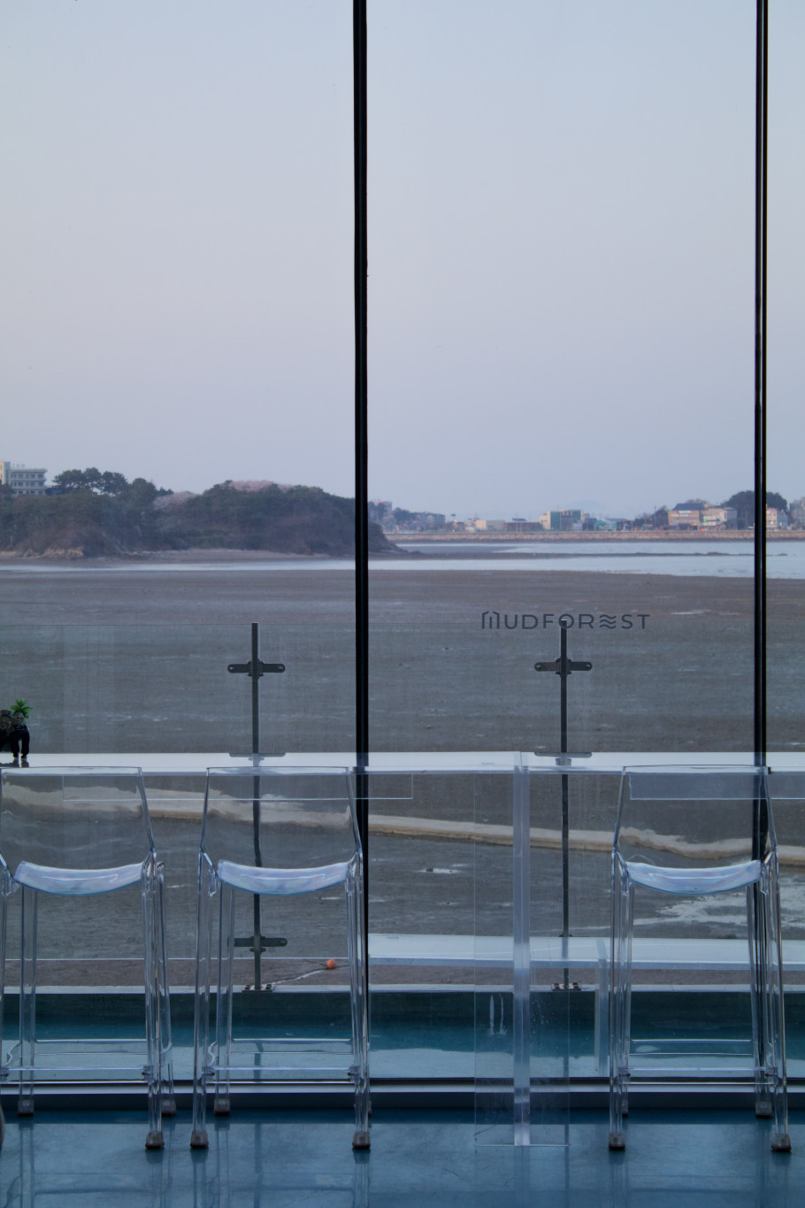 머드포레스트 리뷰 이미지