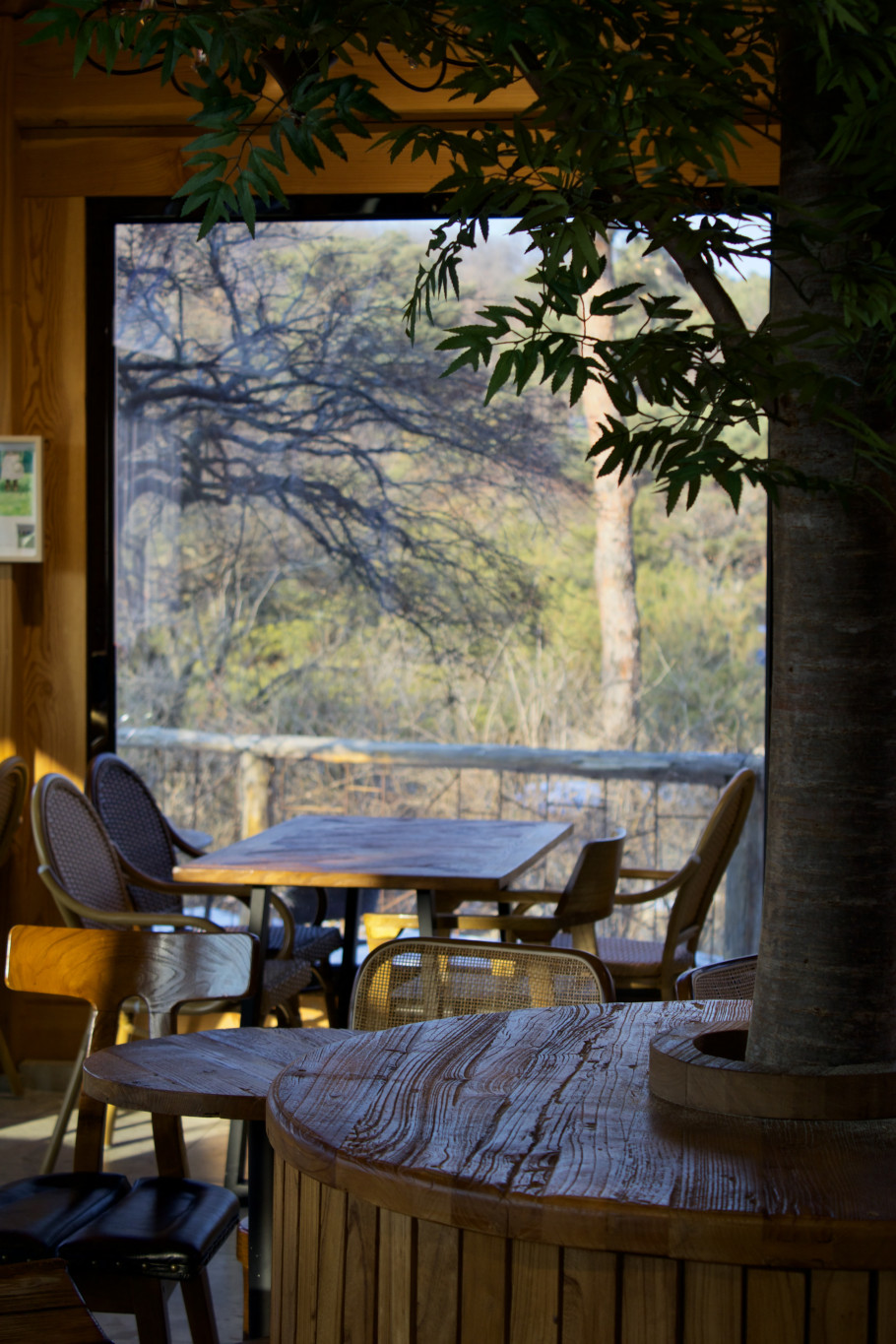 더포레스트퀸 리뷰 이미지