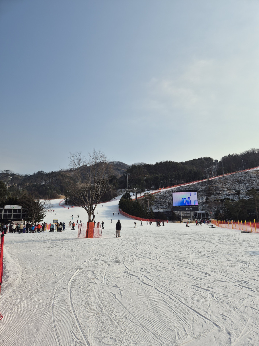 오크밸리 스키장 리뷰 이미지