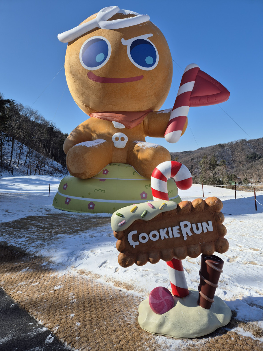 오크밸리 스키장 리뷰 이미지