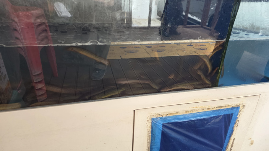 남원골추어탕 리뷰 이미지