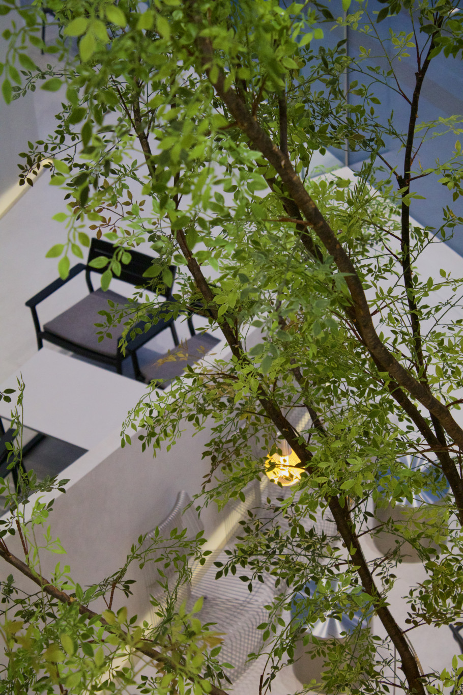 SETT 리뷰 이미지