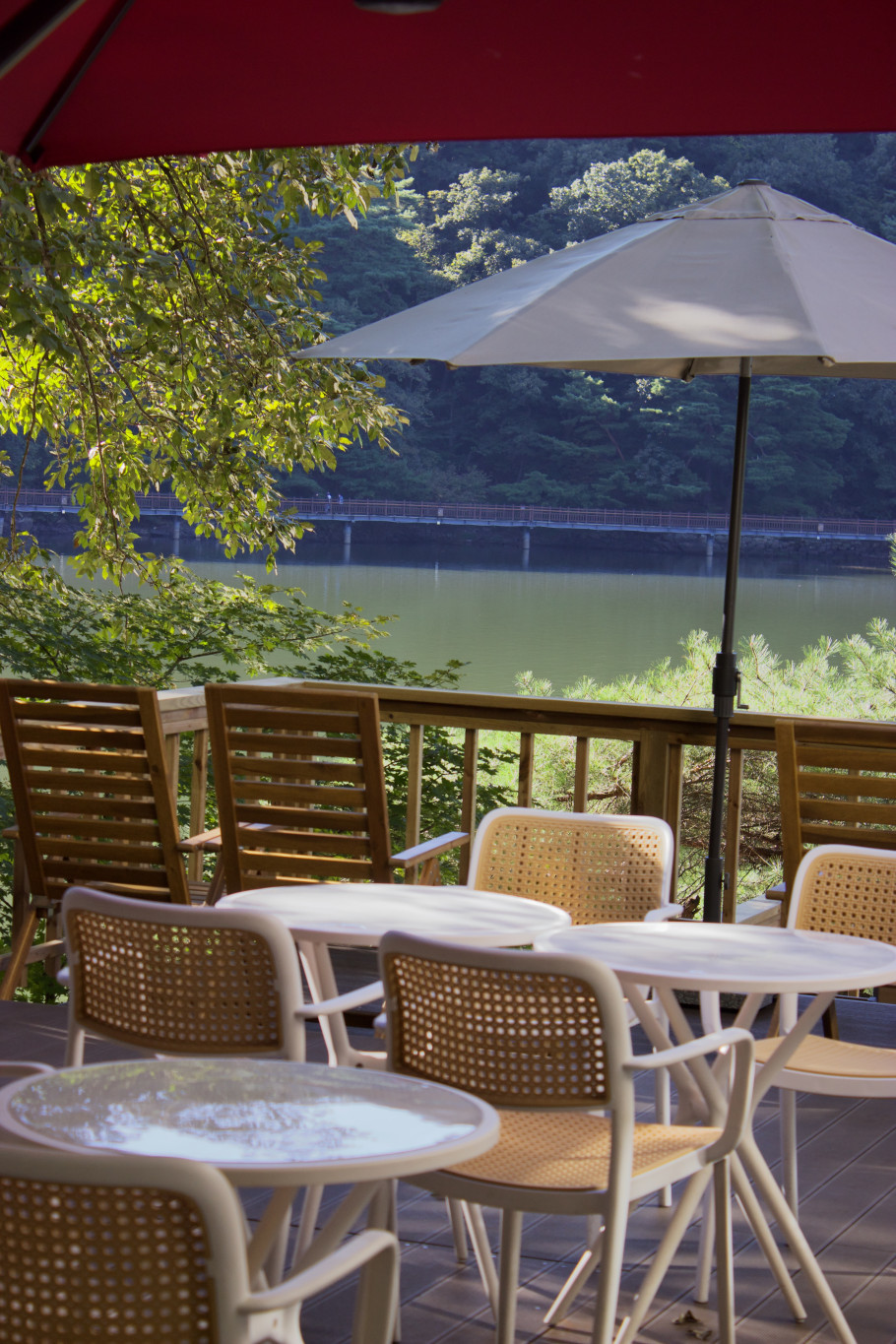 얼리빈스 리뷰 이미지