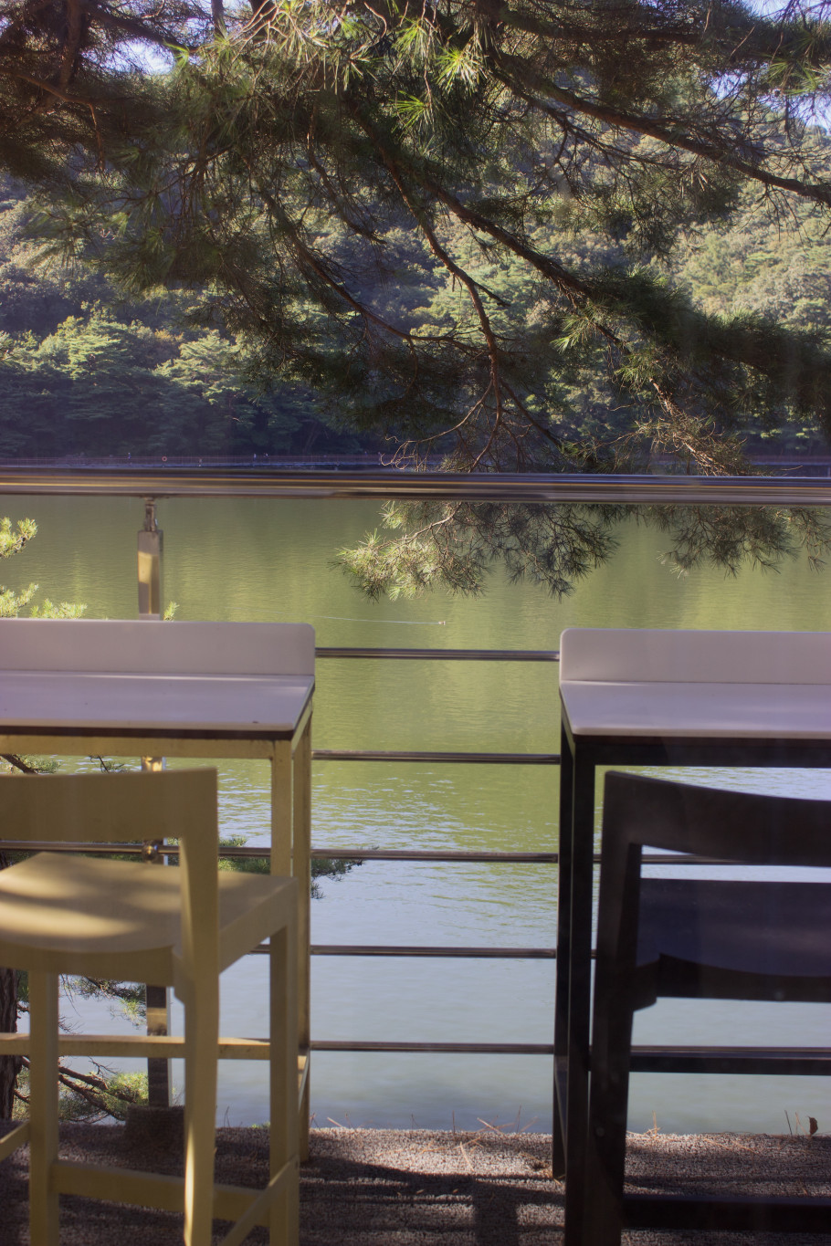 얼리빈스 리뷰 이미지