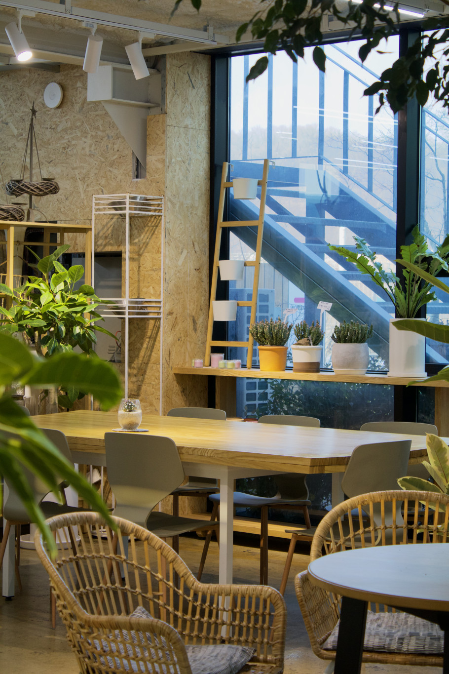 물구리빵집 리뷰 이미지