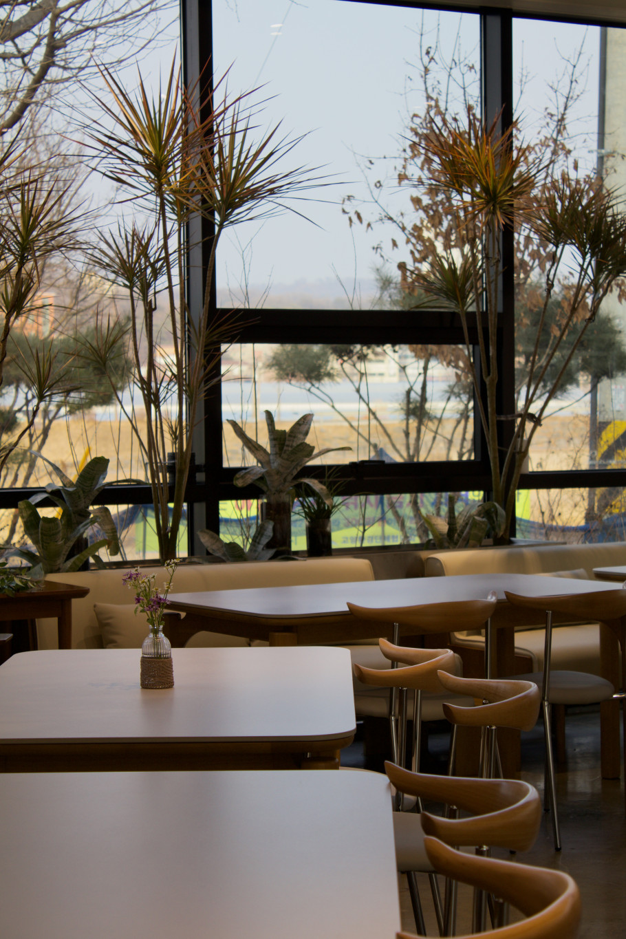 물구리빵집 리뷰 이미지