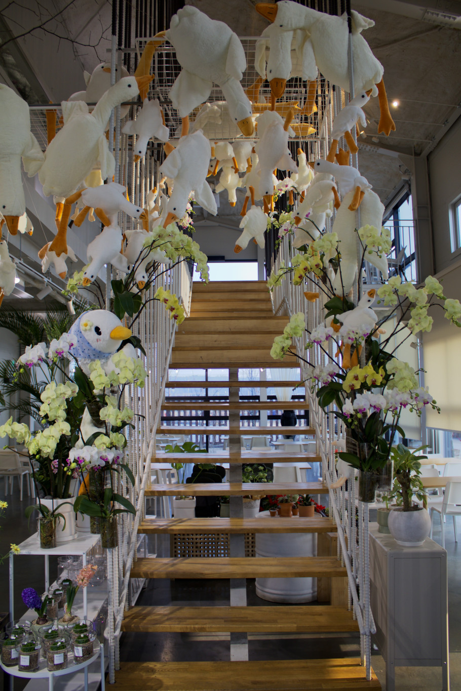 물구리빵집 리뷰 이미지