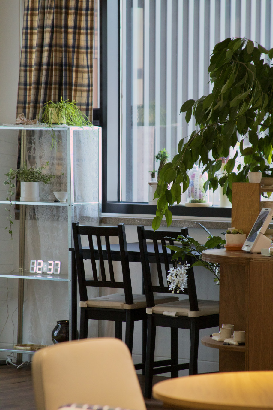 소요다실 리뷰 이미지