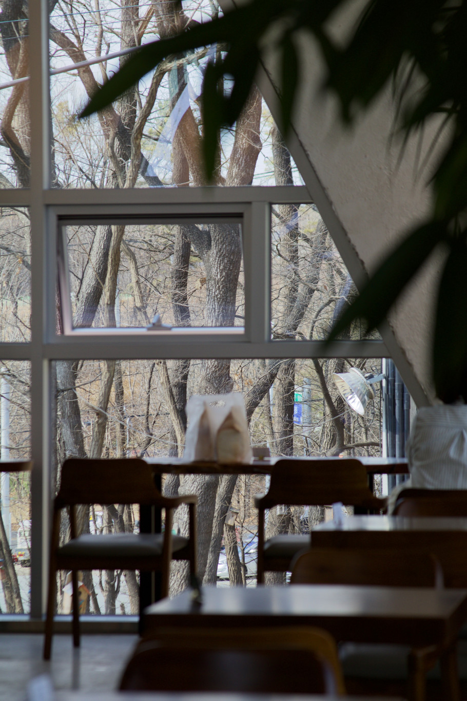 배다골베이커리 포레 리뷰 이미지