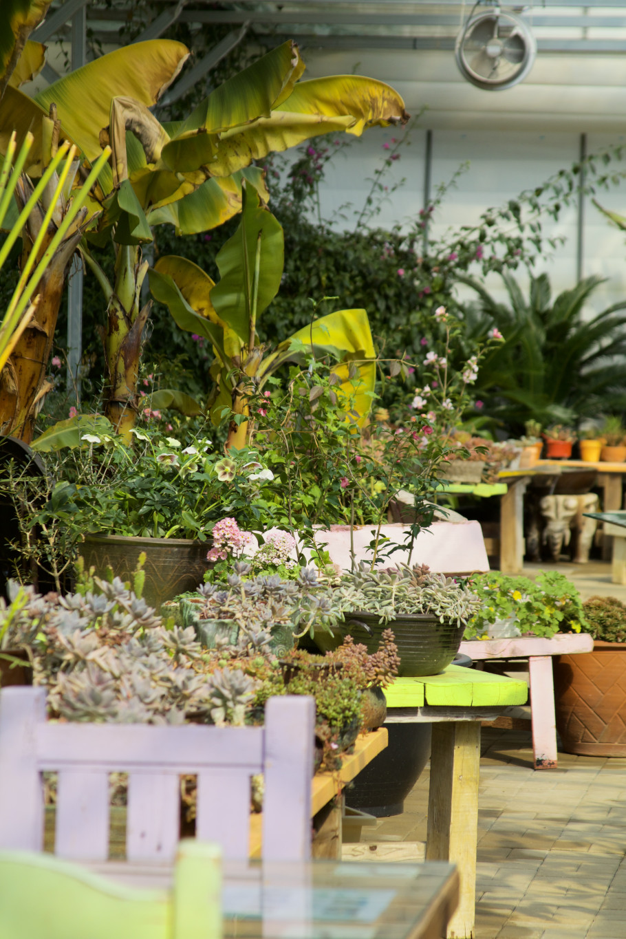 배다골베이커리 포레 리뷰 이미지